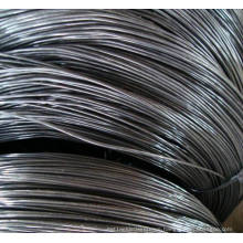 Hard Drawn Nail Wires /Black Annealed Binding Wire/Cutting Wire